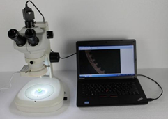5MP cyfrowy system analizy obrazu metalograficznego CCD H3000